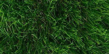 Искусственная трава Тропикана 50мм Тропикана 50мм фото 1 | FLOORDEALER